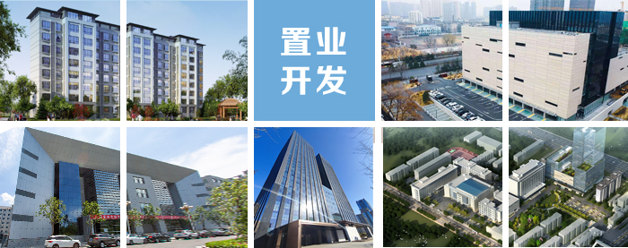 置業(yè)開發(fā)